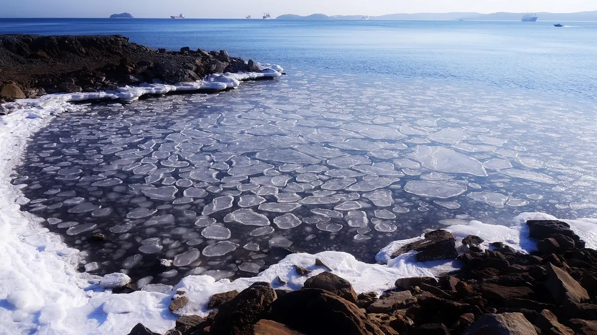 Winter Wellbeing for Creatives: A Checklist for Darker Days